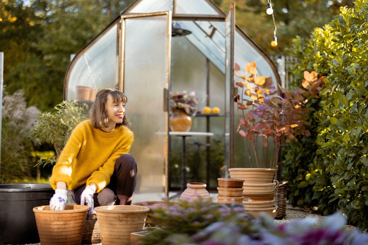 Woman in front of backyard greenhouse planting flower bulbs in clay pots.