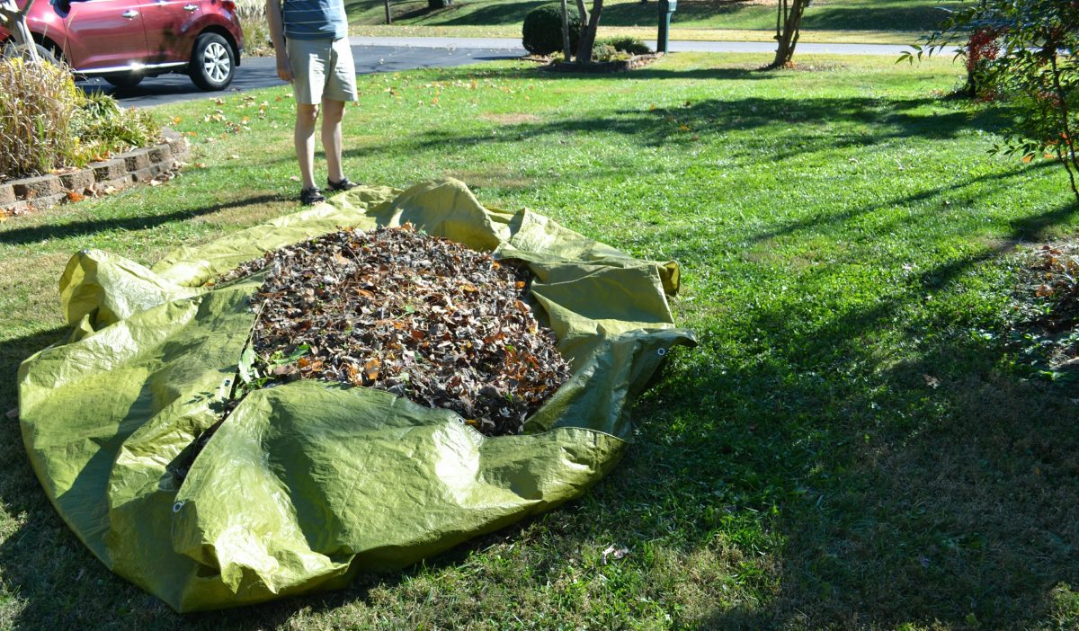 Raked autumn leaves on top of a green tarp with a man in the background.
