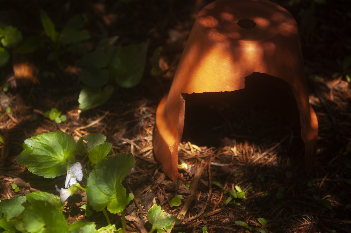 A toad house made from a broken terra cotta pot in a garden.