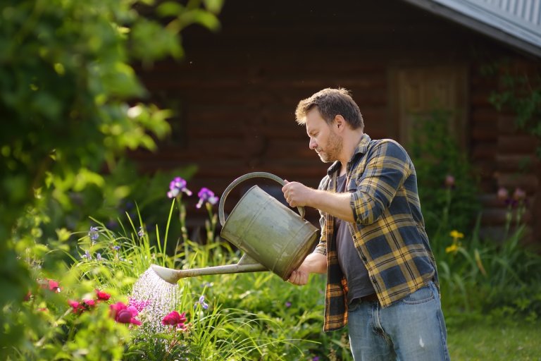 A DIYer watering peonies in the front lawn.