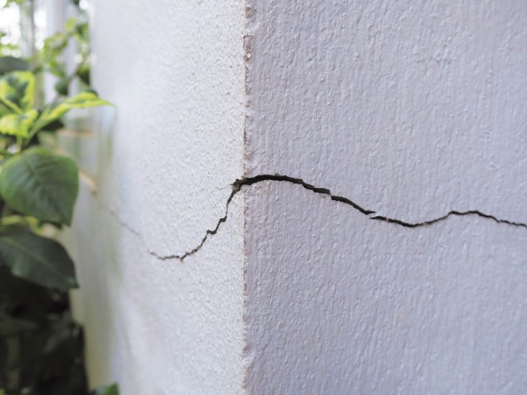 A crack in a house foundation with landscaping nearby.