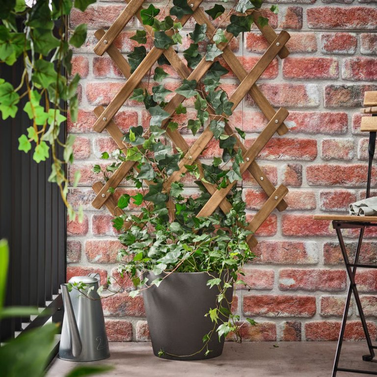Askholmen Trellis
