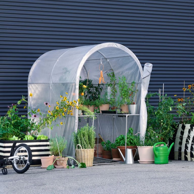 Asparen Greenhouse