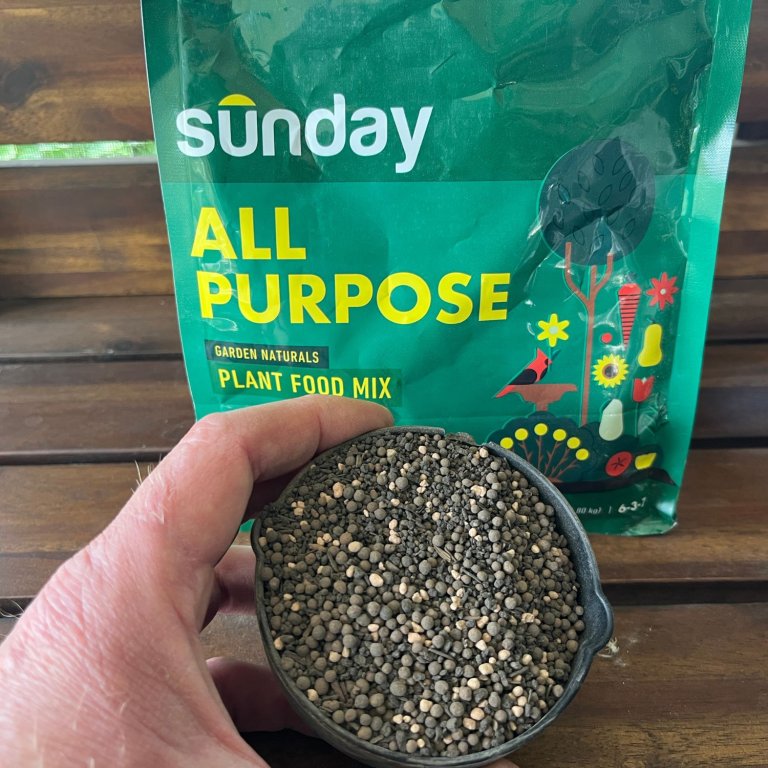 A person holding a cup of Sunday All-Purpose Plant Food Mix in front of its bag before testing