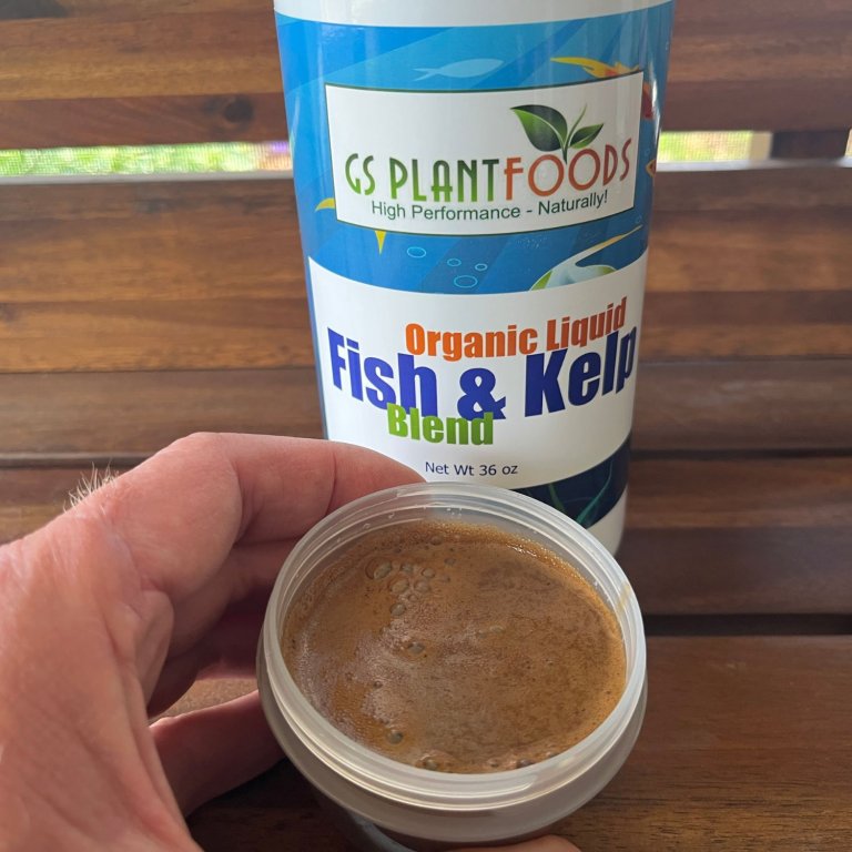 A person holding a cup of GS Plant Foods Organic Fish and Kelp Blend in front of its bottle before testing