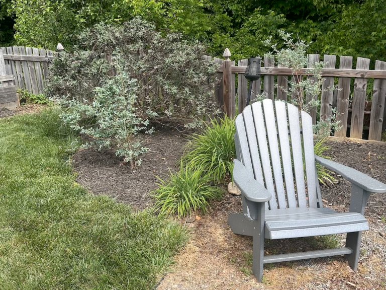 Writer Tony Carrick's backyard makeover in need of repair after hiring professional landscapers.