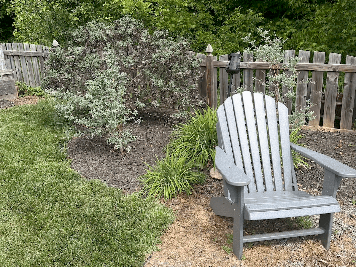 3 Things I Wish I’d Done During My Backyard Renovation (Because Now I Have to Fix Them)