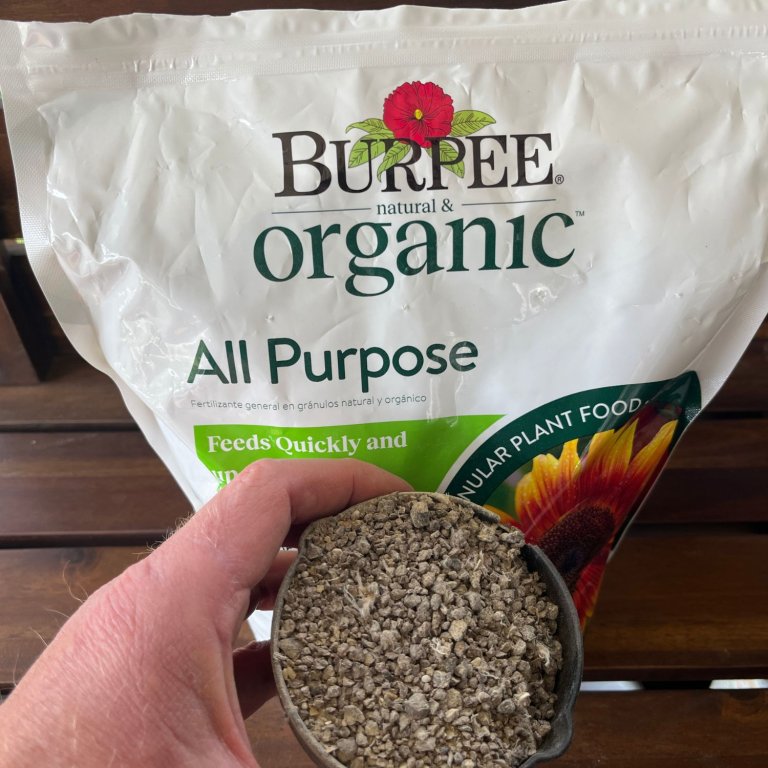 A person holding a cup of Burpee All Purpose in front of its bag during testing