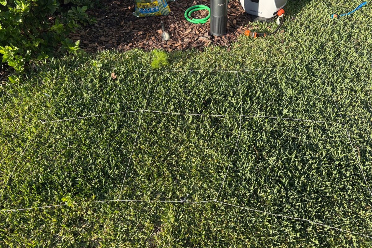 Best organic lawn fertilizers - 3 weeks AFTER