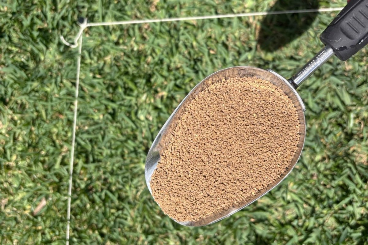 Best organic lawn fertilizers - application