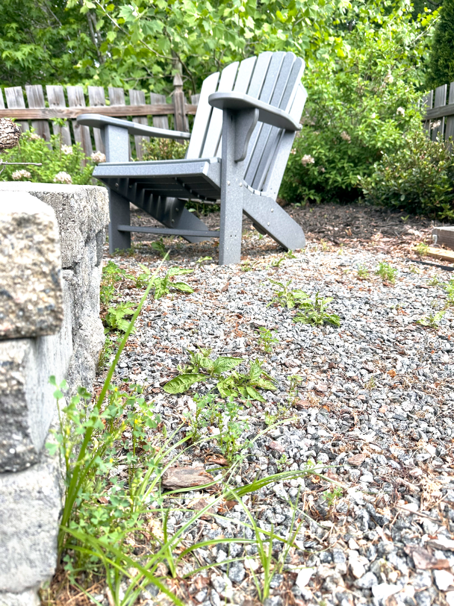 Crowded shrubs in a backyard landscape design.