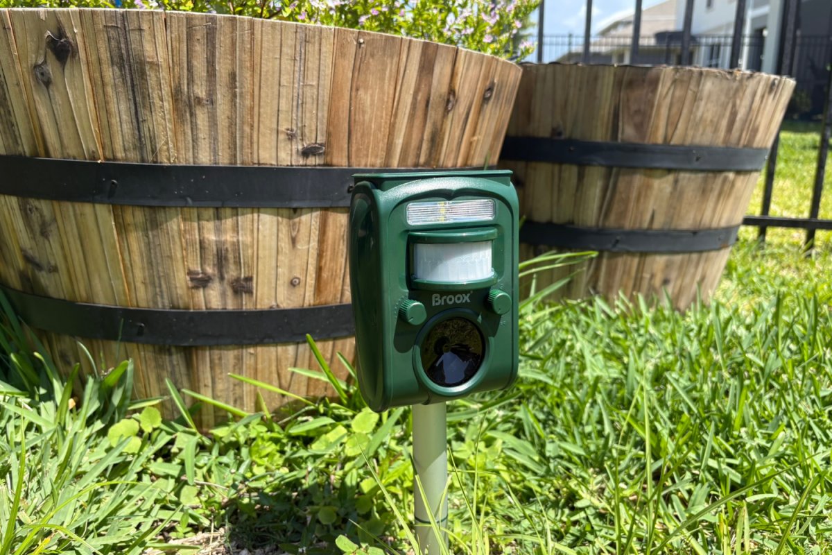 The Broox Solar Animal Repellent in a yard during testing