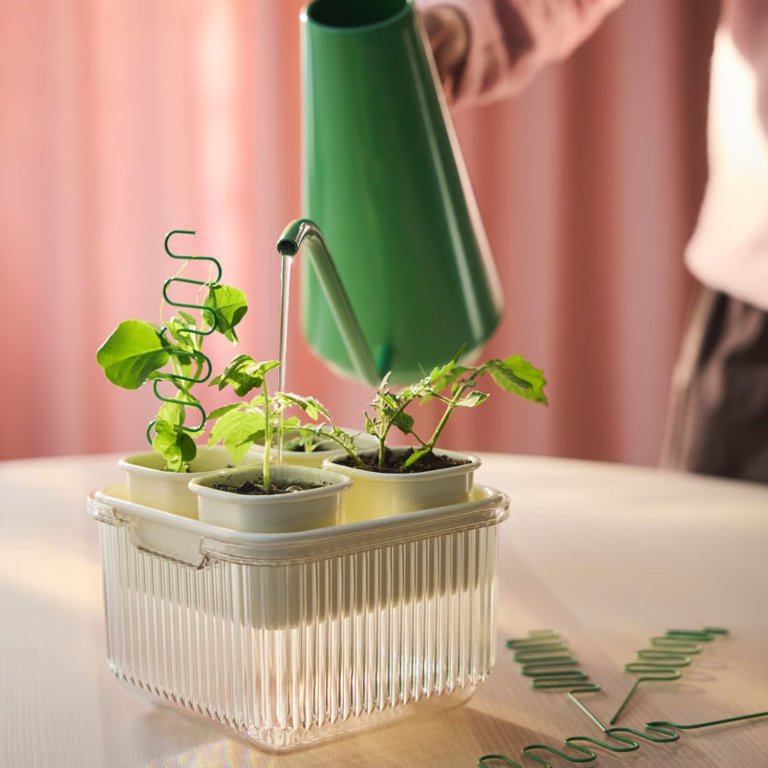Doftrips Plant Starter Set