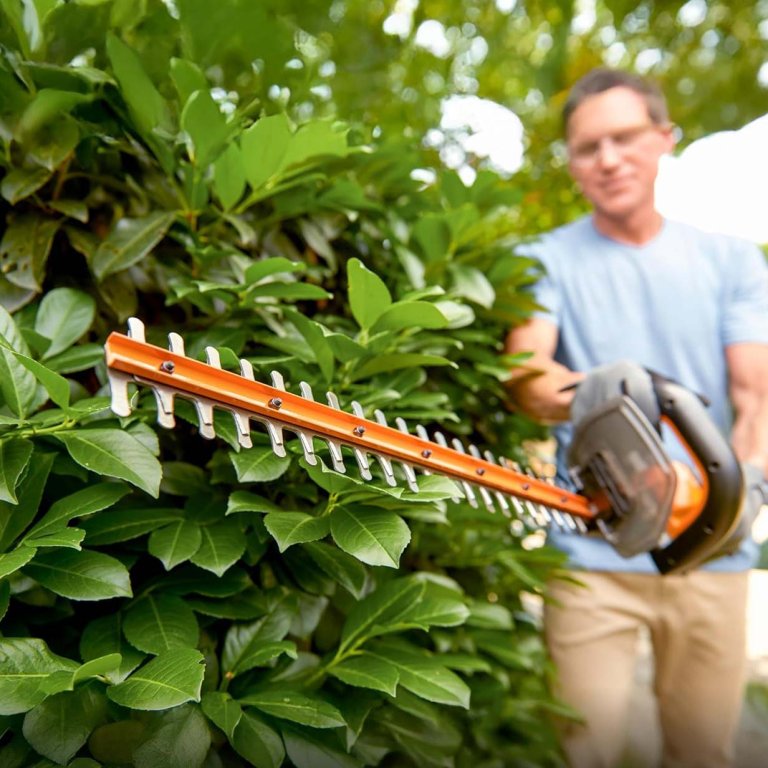 Early Memorial Day Deals Amazon WORX 20V 22-in Cordless Hedge Trimmer