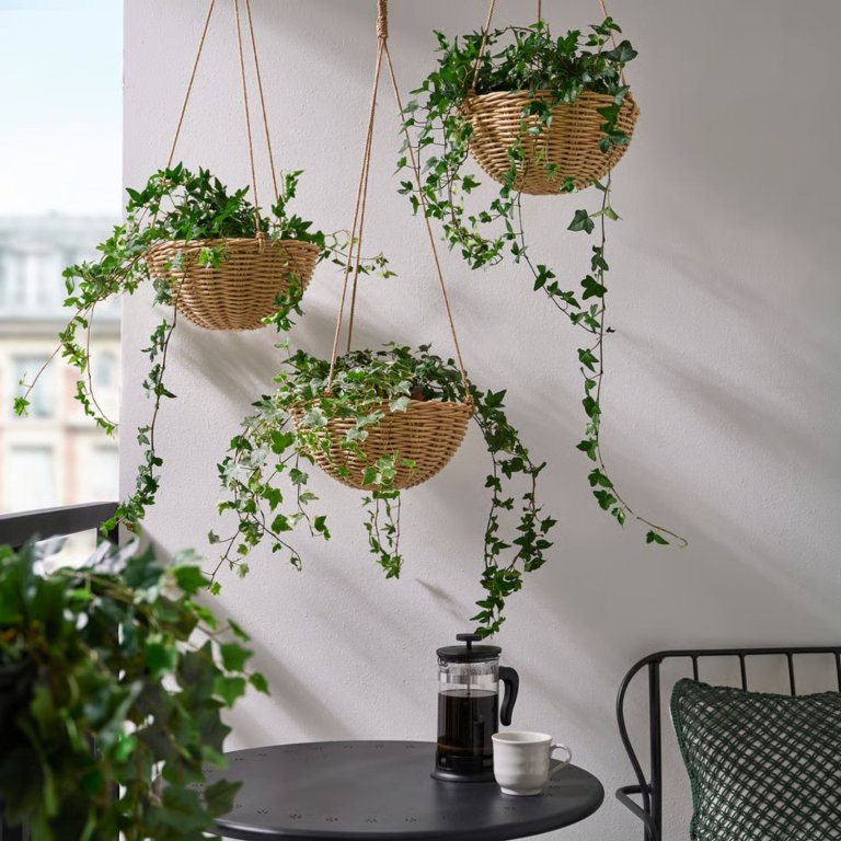 FLODBJÖRK Hanging planter