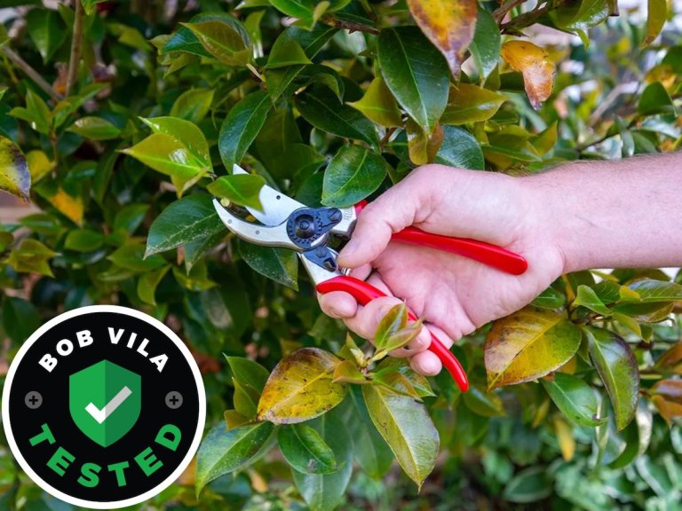 The Felco 2 Pruning Shear trimming foliage during testing