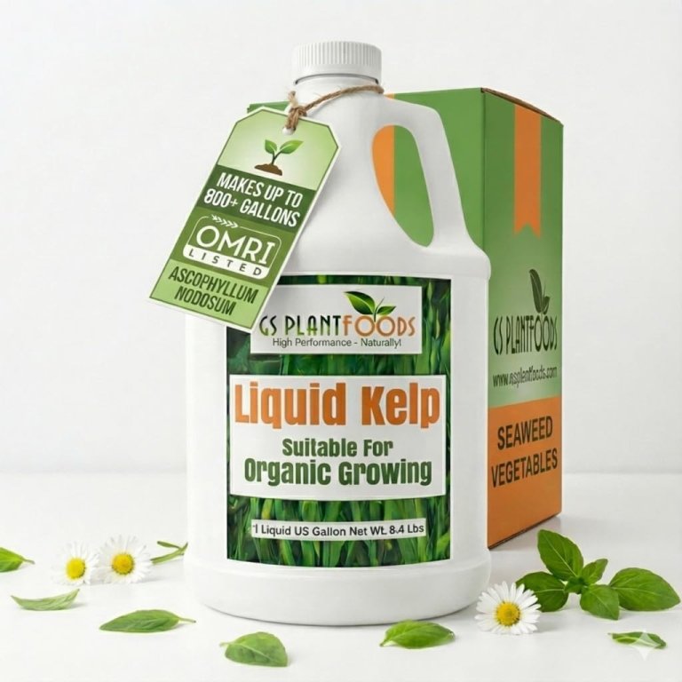 A bottle of GS Plant Foods Organic Liquid Kelp Seaweed Fertilizer on a white background with leaves and flowers scattered around it