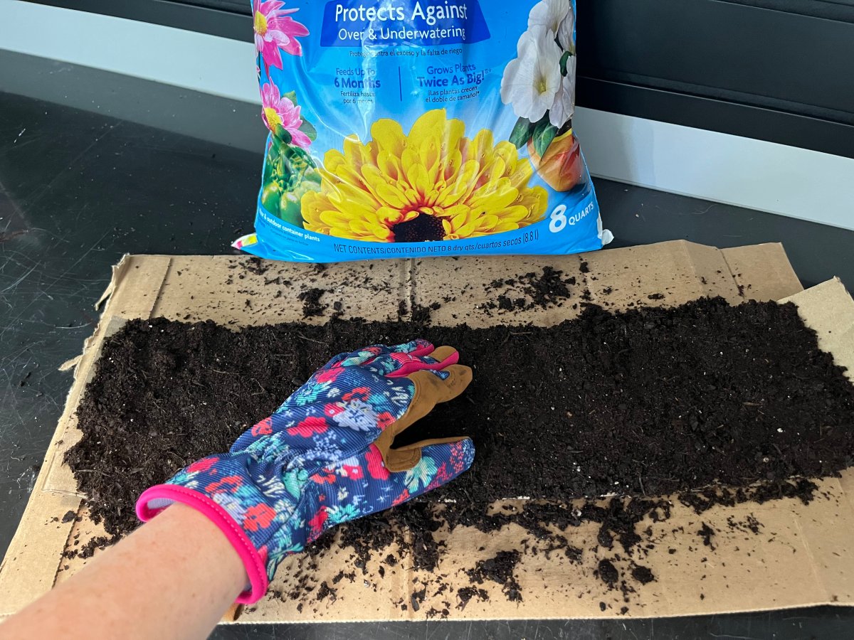 Hand patting down soil on cardboard