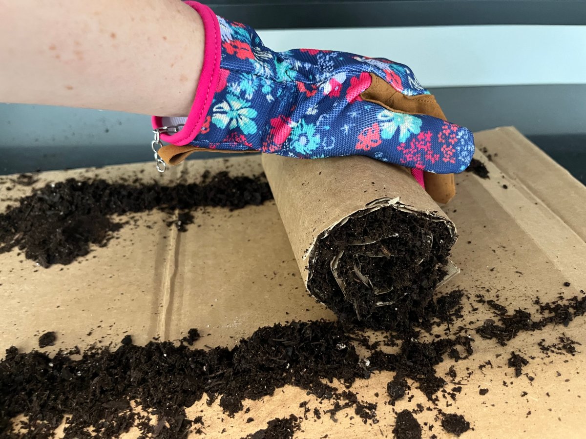 Closeup of hand rolling the cardboard seed snail