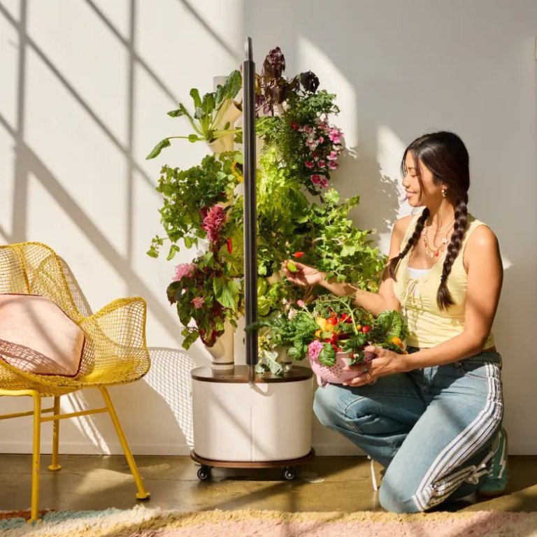 Memorial Day Garden Deals Gardyn Studio 2