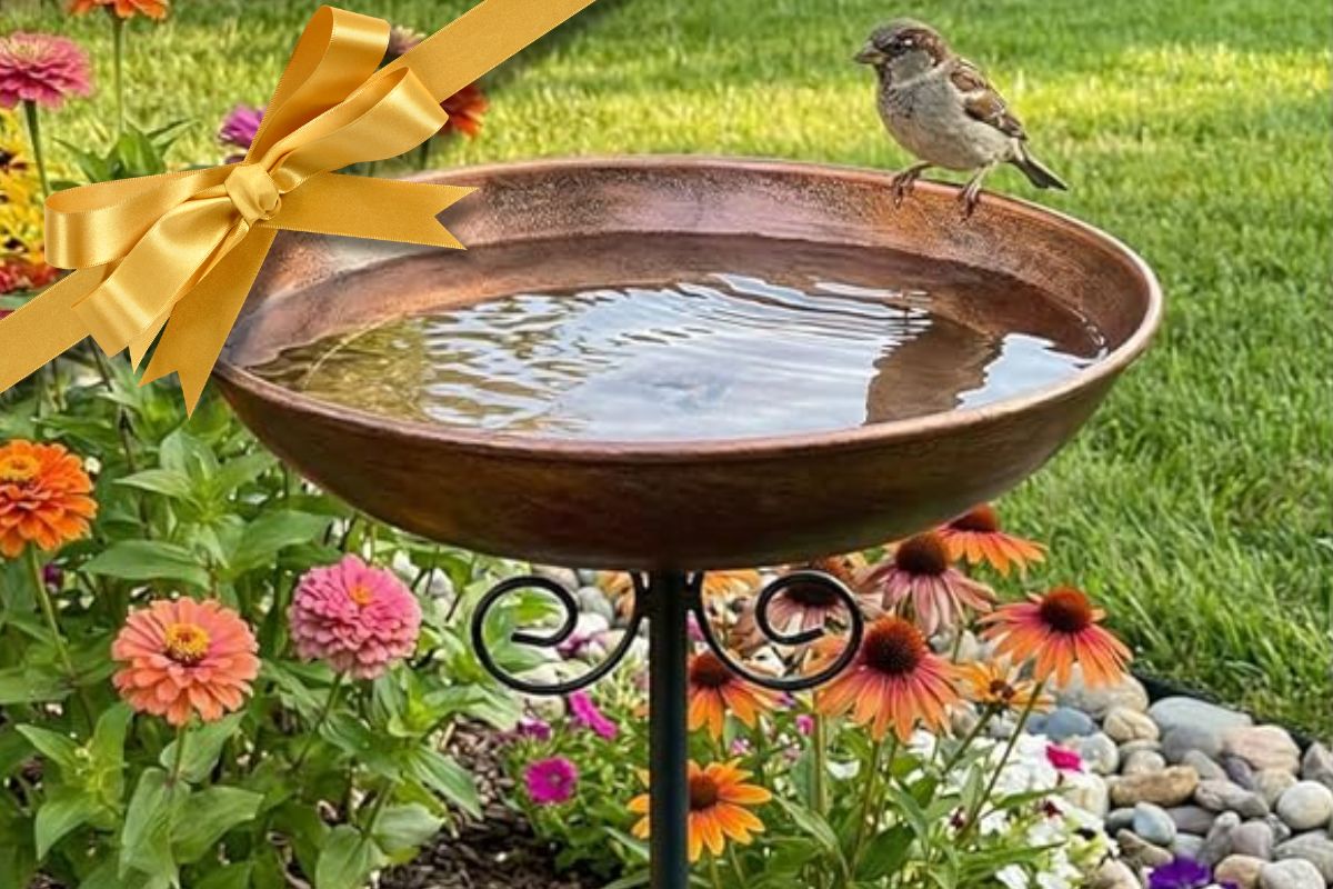 Amazon Drops Prices on Mother's Day Garden Gifts—Up to 50% Off Tools, Decor, Raised Beds, and More
