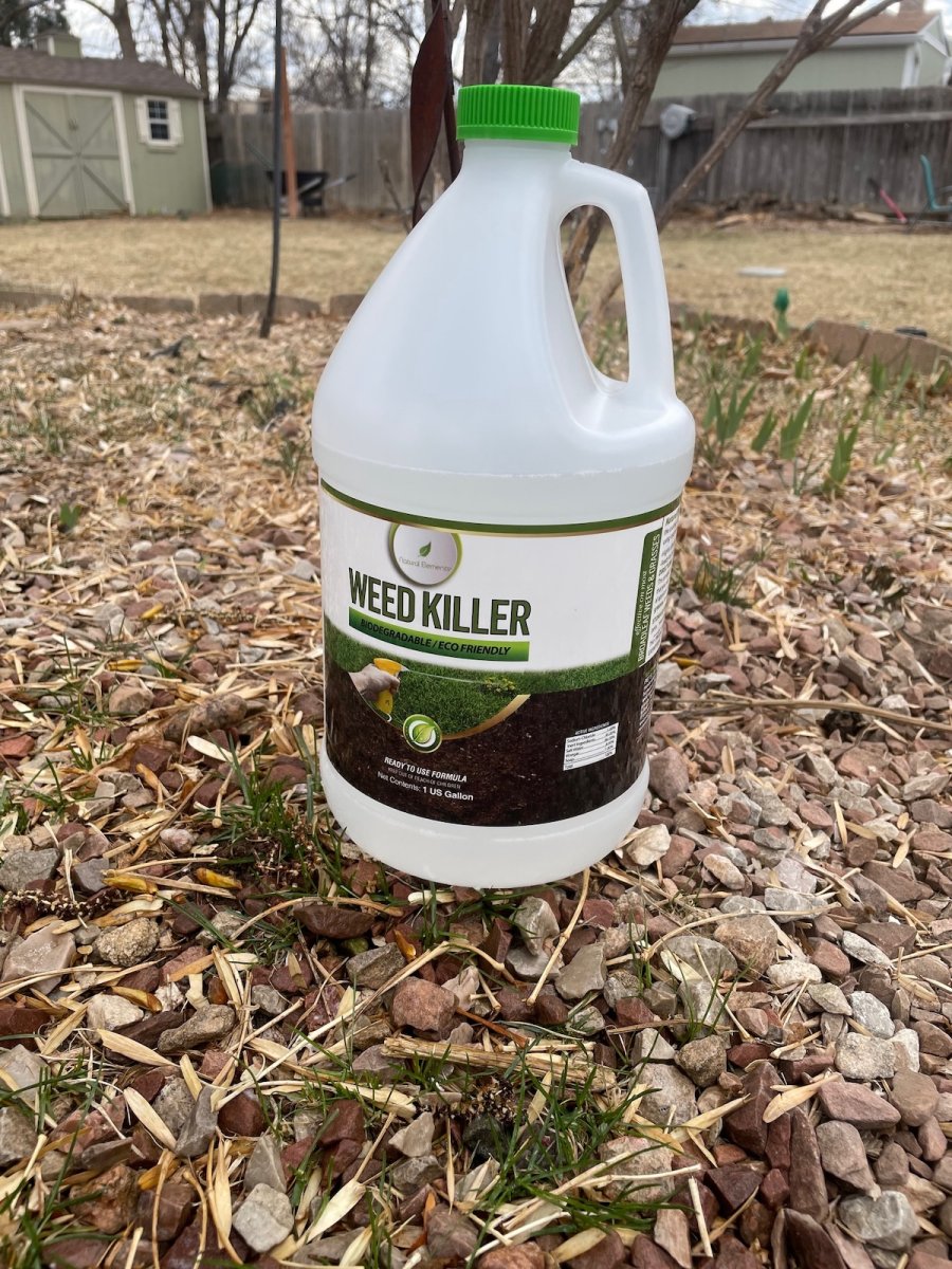Natural Elements Non-Toxic Weed Killer next to unwanted grass