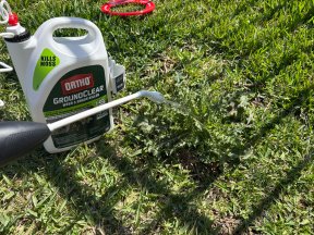 Ortho GroundClear weedkiller in use