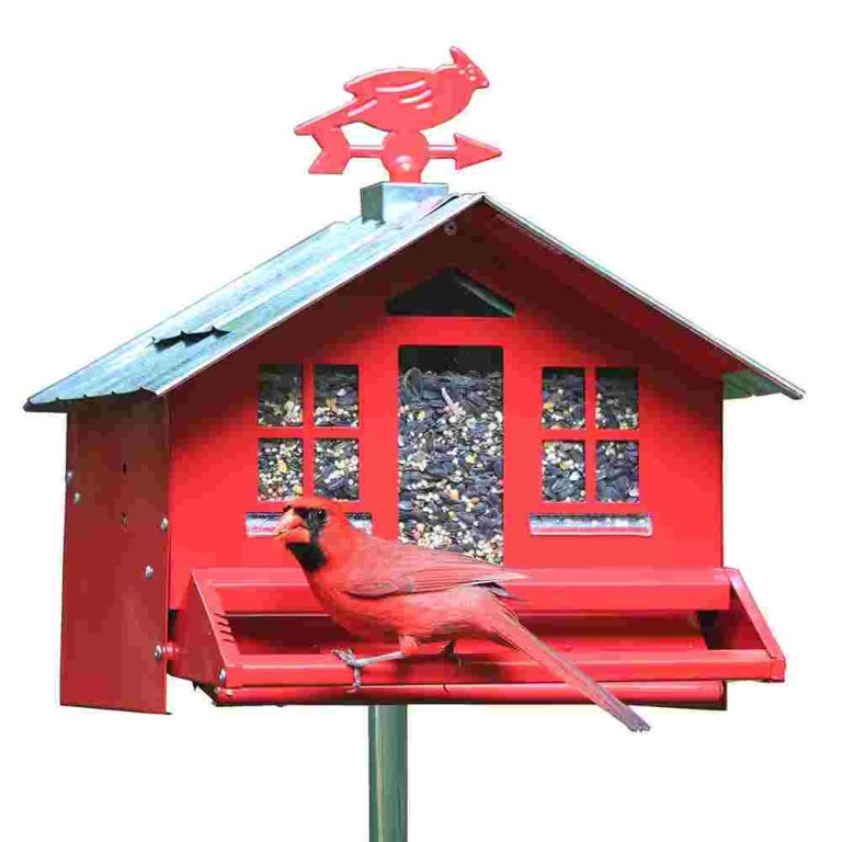 Perky-Pet Squirrel-Be-Gone II Feeder Home