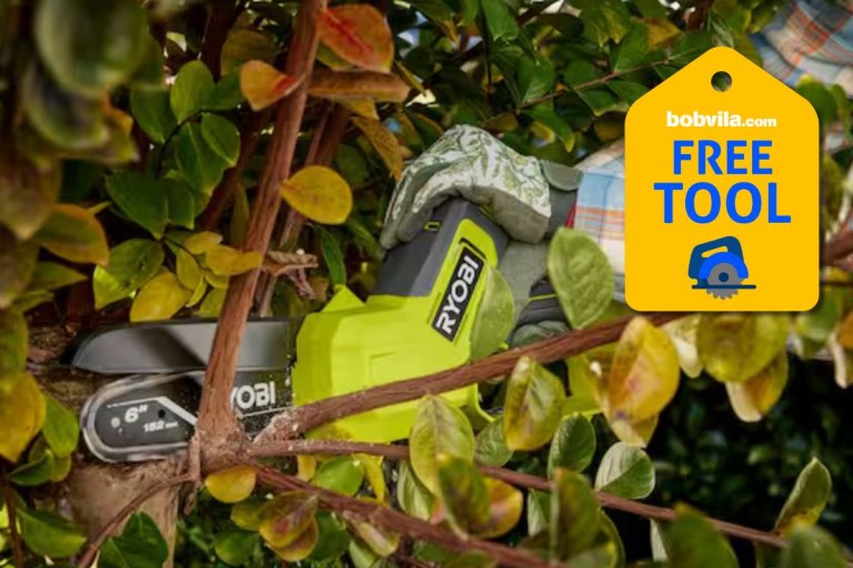 Home Depot Is Giving Away Free Ryobi Tools for Summer—Up to $129 Value
