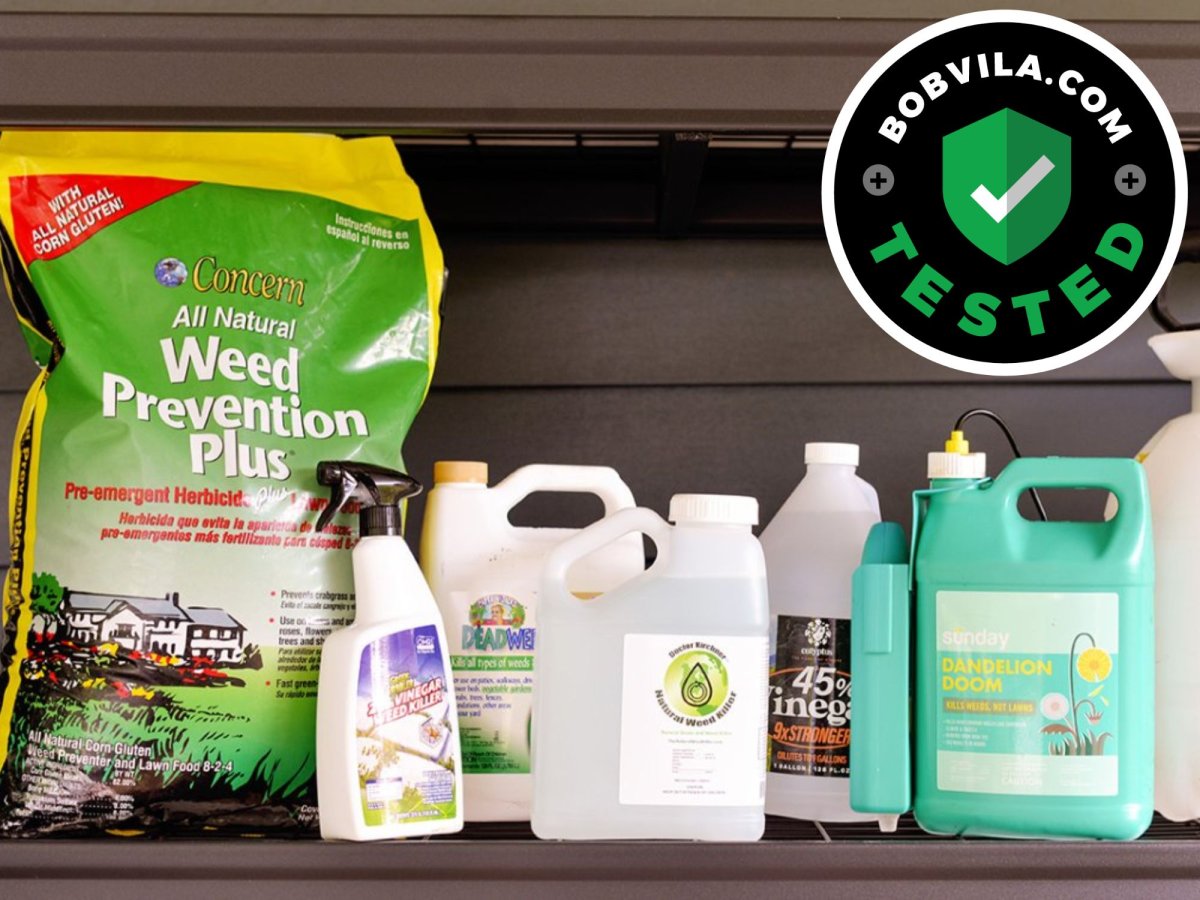 A group of the best weed killer together on a table before testing