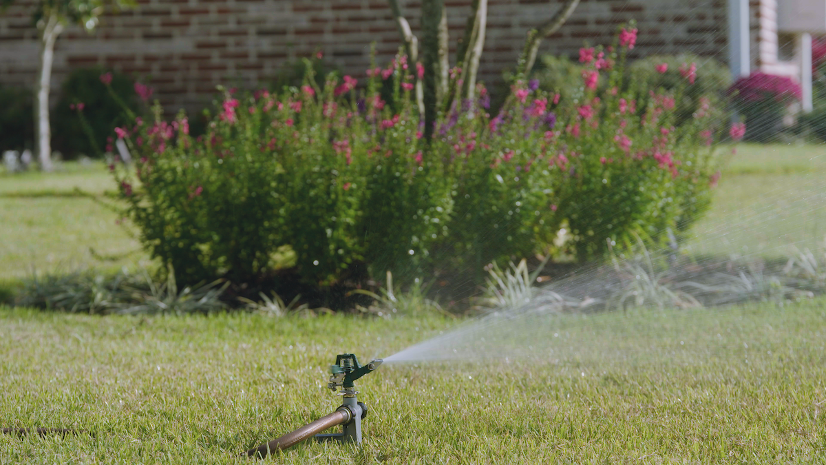 Watering a lawn with a sprinkler system.