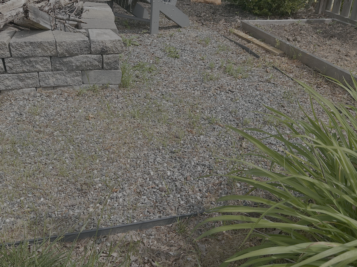 Weeds growing through gravel in a fire pit area created by professional landscapers.