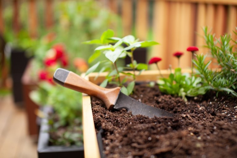 A multipurpose hori-hori gardening knife resting on the ledge of a garden bed.