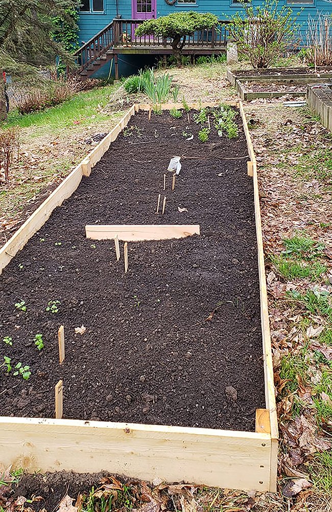 Prototype of Lauren Landers' raised garden bed projects.