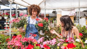 Two young women shopping in a garden center holding blooming geranium flower pots, surrounded by colorful plants