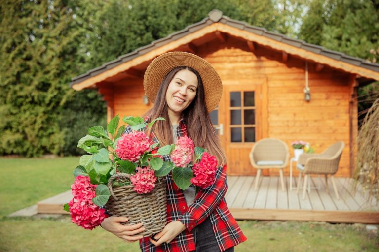 A young horticulturist holds a red hydrangea and smiles. Woman with a straw hat is standing in the garden with a wooden garden shed in the background. Gardening with fun. Life in the countryside