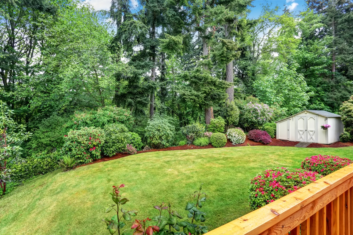 Well kept garden at backyard with trees, bushes and flowers.