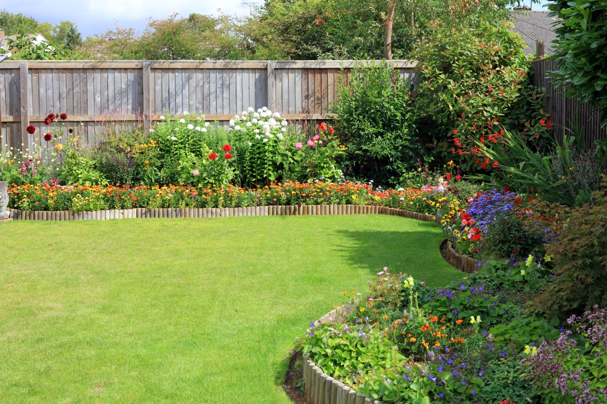Colorful shrubs and bushes against a wooden panel fence.