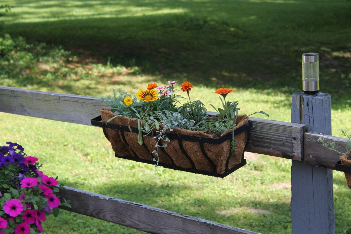 Best Railing Planters
