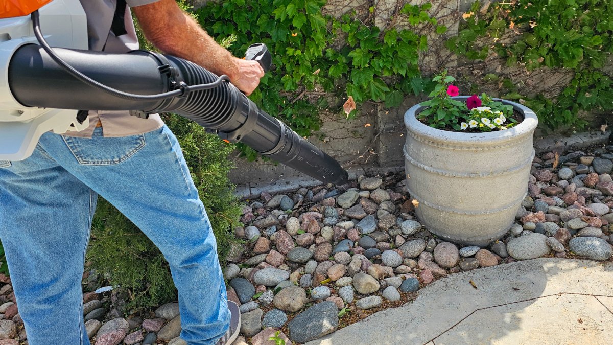 Blowing away leaves with Stihl Backpack Blower