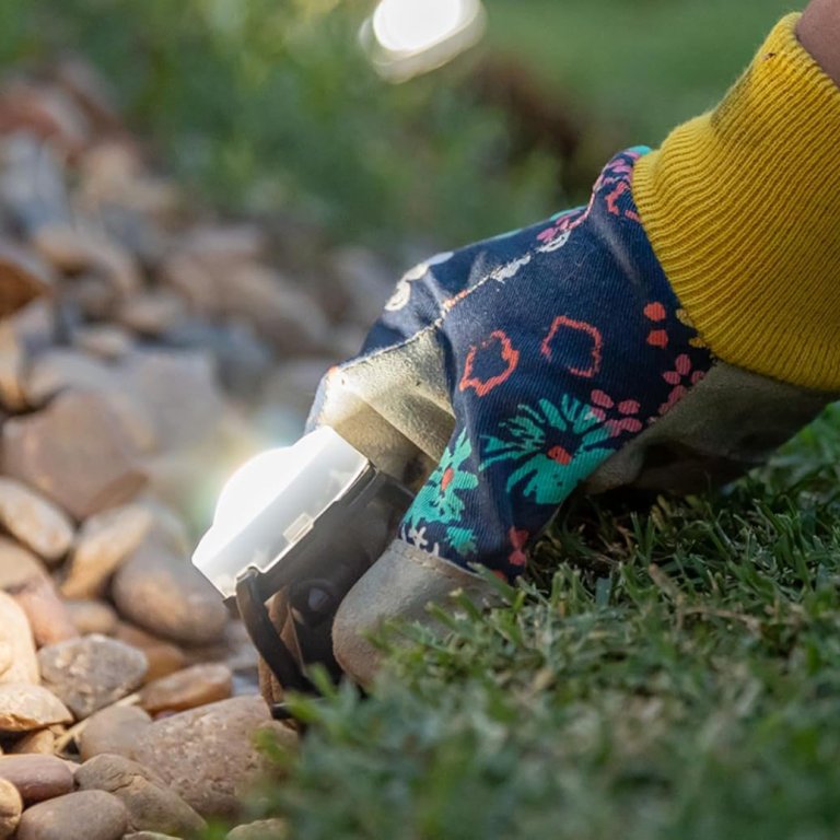 Easy Curb Appeal Updates Illuminate the Landscaping
