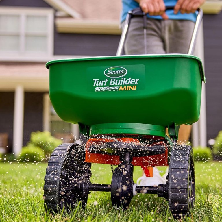 Easy Curb Appeal Updates Repair Bare Spots
