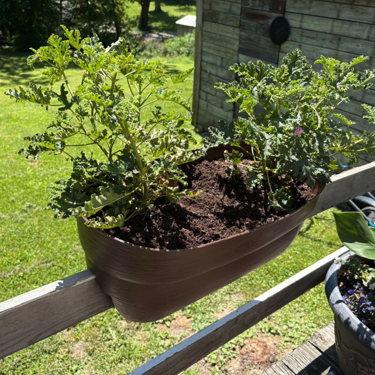 Emsco Group Bloomers Railing Planter