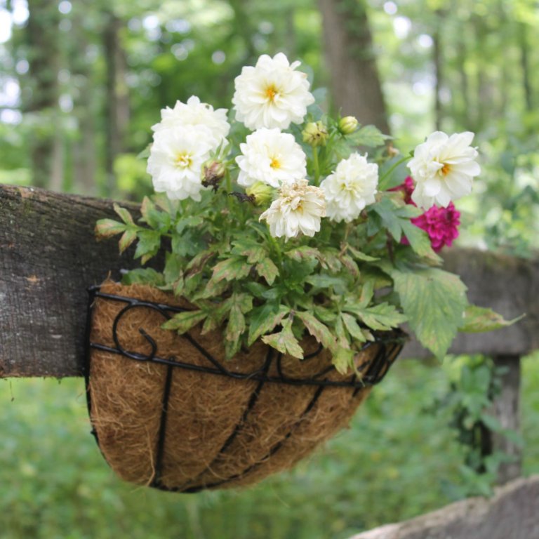 LaLa Green 16-Inch Wall Planters