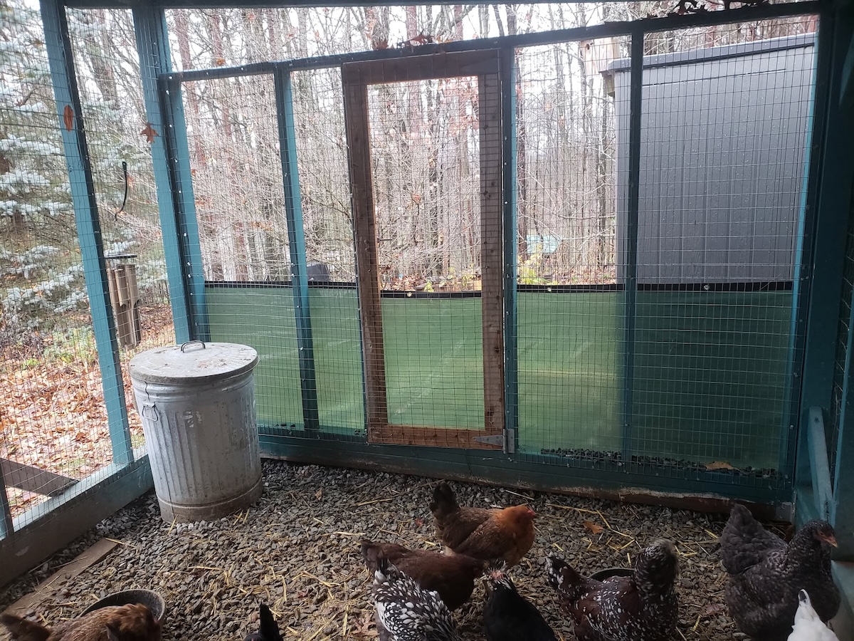 Writer Lauren Landers' potting shed chicken coop in-progress.