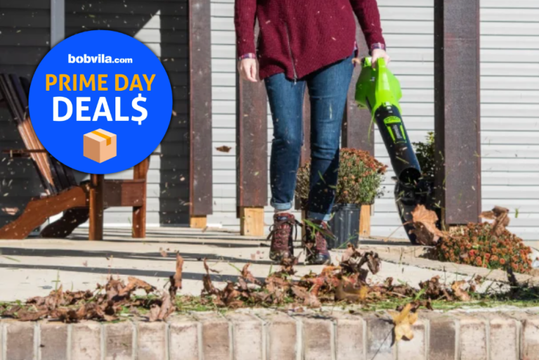 Leaf Blower deals Prime Day June 2026