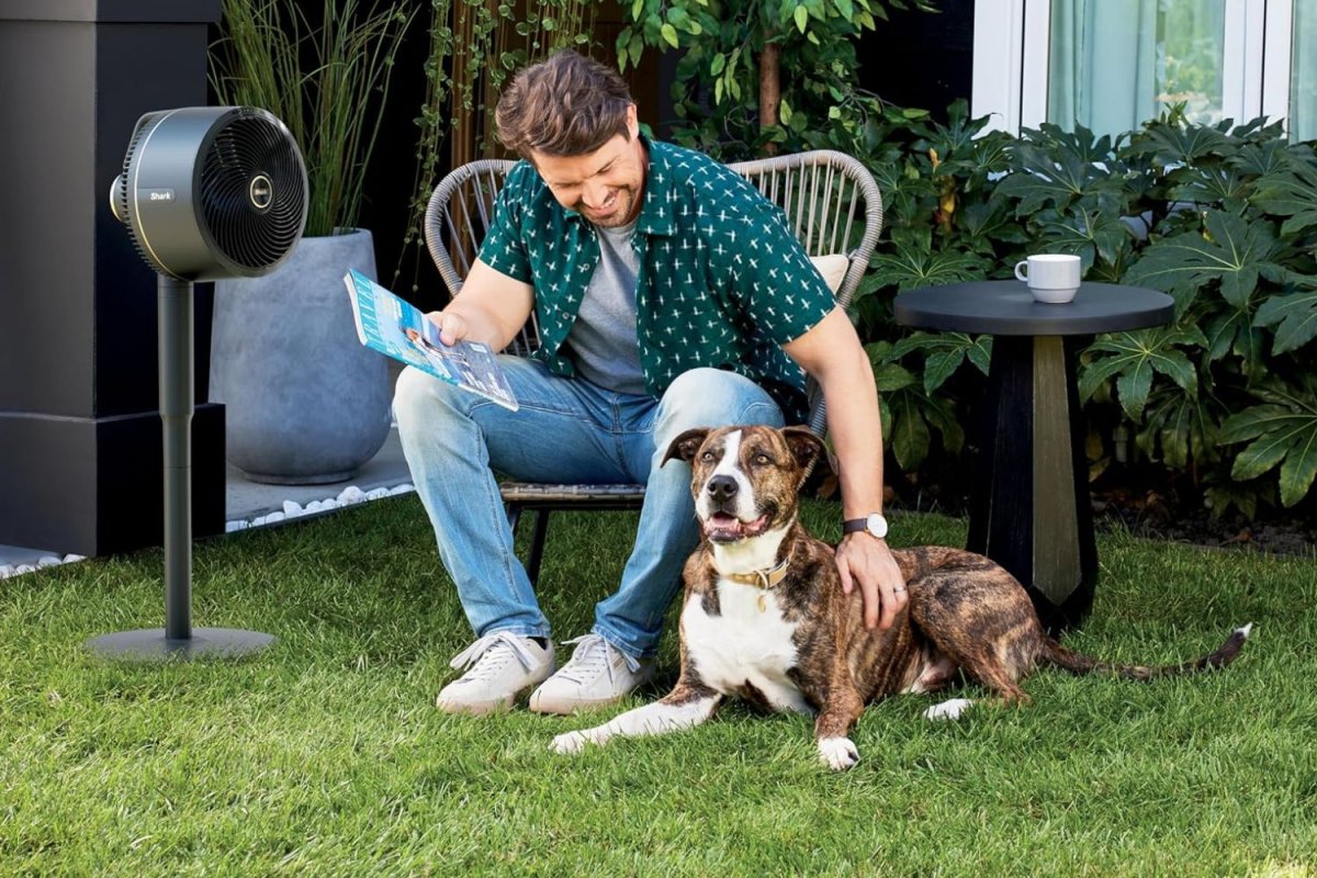 A man and dog in a yard next to the Shark FlexBreeze Fan With InstaCool