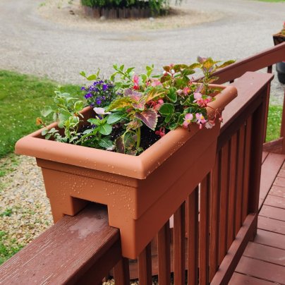 Root & Vessel Countryside Rail Planter