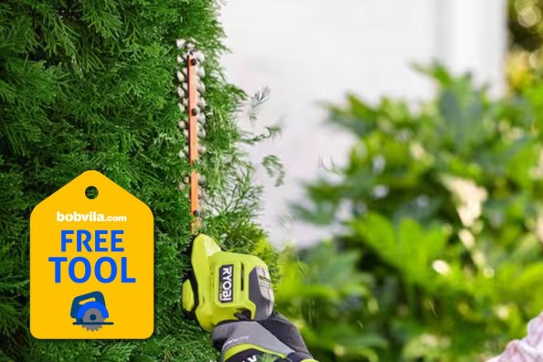 Home Depot Is Giving Away a Free Ryobi Shrubber This Summer