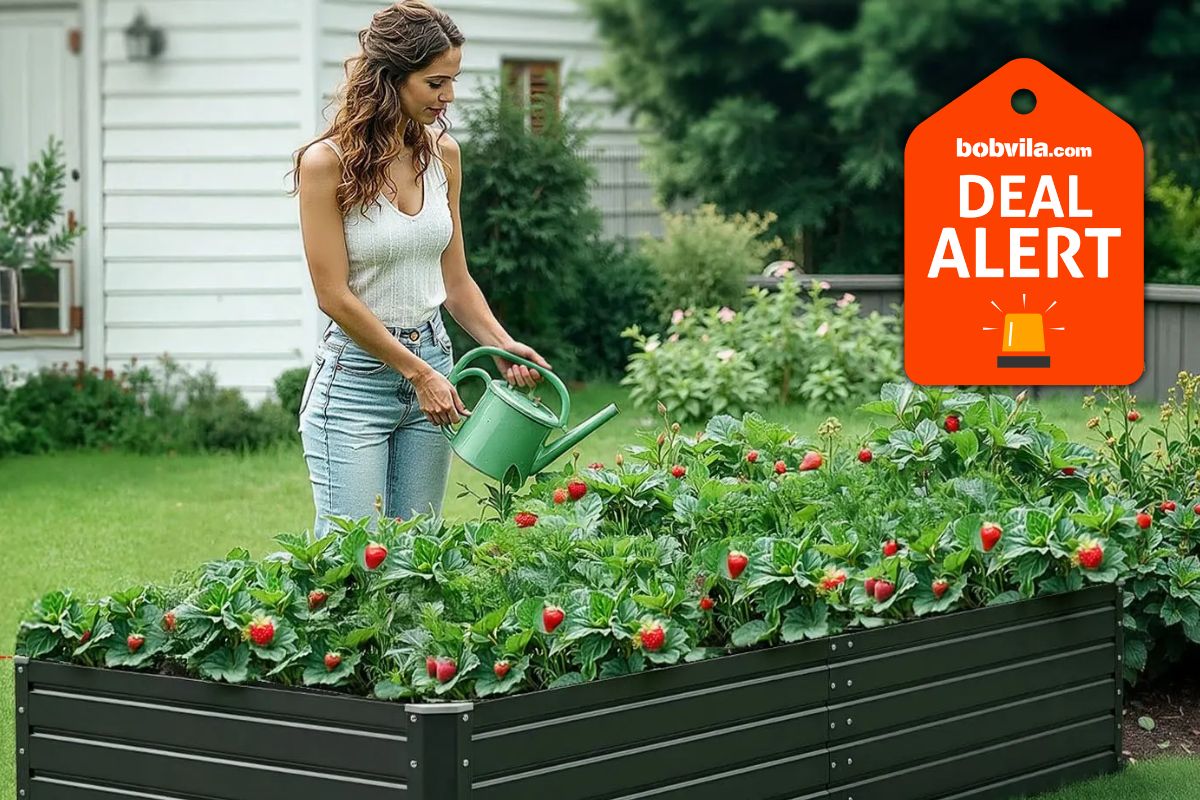 Vevor Is Clearing Out Summer Inventory—Save Up to 40% on Garden Beds, Trailers, and Workshop Tools